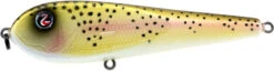 River2Sea ICBM 120 Hard Stickbait/Glidebait -Vis en Kleding Shop 01LiteTrout 73901c30 abdc 4da8 9afc 3d6fba96080a