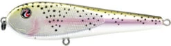River2Sea ICBM 120 Hard Stickbait/Glidebait -Vis en Kleding Shop 02RainbowTrout eadba6ed 8576 49bb ae99 7c2d8eb79b04