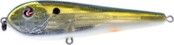 River2Sea ICBM 120 Hard Stickbait/Glidebait -Vis en Kleding Shop 03IKnowIt