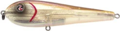 River2Sea ICBM 120 Hard Stickbait/Glidebait -Vis en Kleding Shop 04MulletShad
