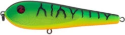 River2Sea ICBM 120 Hard Stickbait/Glidebait -Vis en Kleding Shop 05FireTiger