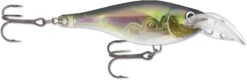 Rapala Scatter Rap Glass Shad 07 Deep Diving Crankbait -Vis en Kleding Shop 12565925658679