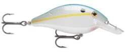 Luhr-Jensen Speed Trap Medium Diving Crankbait -Vis en Kleding Shop 12603279867959