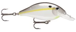 Luhr-Jensen Speed Trap Medium Diving Crankbait -Vis en Kleding Shop 12603280392247