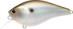 Lucky Craft LC 2.5 Shallow Squarebill Crankbait 26 Lucky Craft LC 2.5 Shallow Squarebill Crankbait -Vis en Kleding Shop 12607085903927