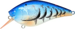 Lucky Craft LC 2.5 Shallow Squarebill Crankbait 28 Lucky Craft LC 2.5 Shallow Squarebill Crankbait -Vis en Kleding Shop 12607085969463