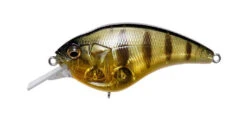 Megabass Sonicside Medium Diving Crankbait 14 Megabass Sonicside Medium Diving Crankbait -Vis en Kleding Shop 12963920379959