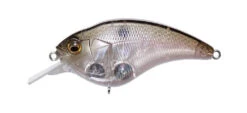 Megabass Sonicside Medium Diving Crankbait 17 Megabass Sonicside Medium Diving Crankbait -Vis en Kleding Shop 12963920478263