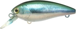 Lucky Craft Moonsault CB-100 Shallow Diving Crankbait 24 Lucky Craft Moonsault CB-100 Shallow Diving Crankbait -Vis en Kleding Shop 13025142931511