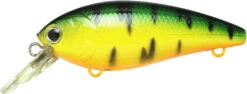 Lucky Craft Moonsault CB-100 Shallow Diving Crankbait 28 Lucky Craft Moonsault CB-100 Shallow Diving Crankbait -Vis en Kleding Shop 13025143128119