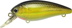 Lucky Craft Moonsault CB-100 Shallow Diving Crankbait 29 Lucky Craft Moonsault CB-100 Shallow Diving Crankbait -Vis en Kleding Shop 13025143160887