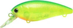 Lucky Craft Moonsault CB-100 Shallow Diving Crankbait 33 Lucky Craft Moonsault CB-100 Shallow Diving Crankbait -Vis en Kleding Shop 13025143291959