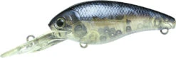 Lucky Craft Moonsault CB-200 Medium Shallow Diving Crankbait -Vis en Kleding Shop 13025145782327