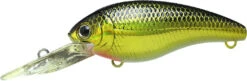 Lucky Craft Moonsault CB-200 Medium Shallow Diving Crankbait -Vis en Kleding Shop 13025145978935