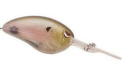 SPRO John Crews Little John DD 70 Extra Deep Diving Crankbait 35 SPRO John Crews Little John DD 70 Extra Deep Diving Crankbait -Vis en Kleding Shop 1 42bd2ef0 b819 4ece 8437 517778350052