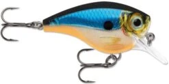 Rapala BX Big Brat 2 3/4 Inch Square Bill Crankbait -Vis en Kleding Shop 31321538363481