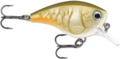 Rapala BX Big Brat 2 3/4 Inch Square Bill Crankbait -Vis en Kleding Shop 31321538396249
