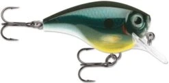 Rapala BX Big Brat 2 3/4 Inch Square Bill Crankbait -Vis en Kleding Shop 31321538429017