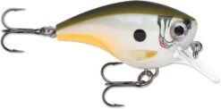 Rapala BX Big Brat 2 3/4 Inch Square Bill Crankbait -Vis en Kleding Shop 31321538461785