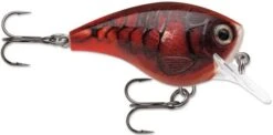 Rapala BX Big Brat 2 3/4 Inch Square Bill Crankbait -Vis en Kleding Shop 31321538527321