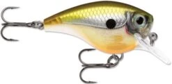 Rapala BX Big Brat 2 3/4 Inch Square Bill Crankbait -Vis en Kleding Shop 31321538560089