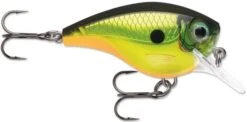 Rapala BX Big Brat 2 3/4 Inch Square Bill Crankbait -Vis en Kleding Shop 31321538592857