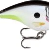 Rapala BX Big Brat 2 3/4 Inch Square Bill Crankbait