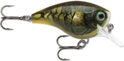 Rapala BX Big Brat 2 3/4 Inch Square Bill Crankbait -Vis en Kleding Shop 31321538658393