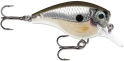 Rapala BX Big Brat 2 3/4 Inch Square Bill Crankbait -Vis en Kleding Shop 31321538691161