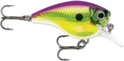 Rapala BX Big Brat 2 3/4 Inch Square Bill Crankbait -Vis en Kleding Shop 31321538723929