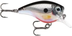 Rapala BX Big Brat 2 3/4 Inch Square Bill Crankbait -Vis en Kleding Shop 31321538756697