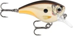 Rapala BX Big Brat 2 3/4 Inch Square Bill Crankbait -Vis en Kleding Shop 31321538789465