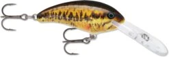Rapala Shad Dancer SDD07 Deep Diving Crankbait -Vis en Kleding Shop 31340105138265