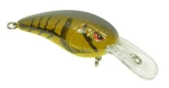 SPRO Mike McClelland RkCrawler 50 Medium Diving Crankbait -Vis en Kleding Shop 31420391260249
