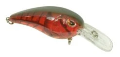 SPRO Mike McClelland RkCrawler 50 Medium Diving Crankbait -Vis en Kleding Shop 31420391424089