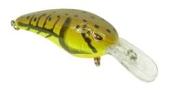 SPRO Mike McClelland RkCrawler 50 Medium Diving Crankbait -Vis en Kleding Shop 31420391456857