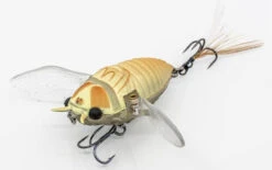 Chasebaits Ripple Cicada 1 3/4 Inch Wakebait Crawler -Vis en Kleding Shop 32233146843225