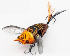 Chasebaits Ripple Cicada 1 3/4 Inch Wakebait Crawler -Vis en Kleding Shop 32233146908761