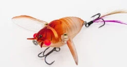 Chasebaits Ripple Cicada 1 3/4 Inch Wakebait Crawler -Vis en Kleding Shop 32233146941529