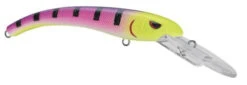 SPRO MadEye Diver 85 Extra Deep Diving Crankbait -Vis en Kleding Shop 32339524419673