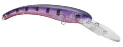 SPRO MadEye Diver 85 Extra Deep Diving Crankbait -Vis en Kleding Shop 32339524616281