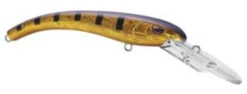 SPRO MadEye Diver 85 Extra Deep Diving Crankbait -Vis en Kleding Shop 32339524649049