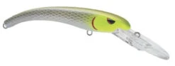 SPRO MadEye Diver 85 Extra Deep Diving Crankbait -Vis en Kleding Shop 32339524747353