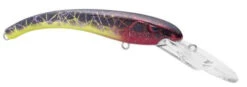 SPRO MadEye Diver 85 Extra Deep Diving Crankbait -Vis en Kleding Shop 32339524780121