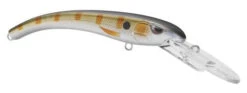 SPRO MadEye Diver 85 Extra Deep Diving Crankbait -Vis en Kleding Shop 32339524812889