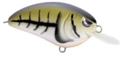 SPRO Little John 50 Type R Shallow Diving Crankbait 11 SPRO Little John 50 Type R Shallow Diving Crankbait -Vis en Kleding Shop 39332414488665