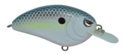 SPRO Little John 50 Type R Shallow Diving Crankbait 12 SPRO Little John 50 Type R Shallow Diving Crankbait -Vis en Kleding Shop 39332414554201