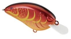SPRO Little John 50 Type R Shallow Diving Crankbait 14 SPRO Little John 50 Type R Shallow Diving Crankbait -Vis en Kleding Shop 39332414619737