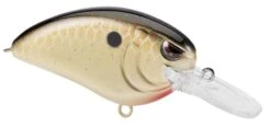 SPRO Little John MD 50 Type R Medium Diving Crankbait -Vis en Kleding Shop 39332415242329