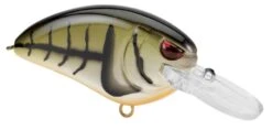 SPRO Little John MD 50 Type R Medium Diving Crankbait -Vis en Kleding Shop 39332415275097